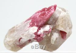 Pink Tourmaline Rubellite in Quartz Crystal Cluster Mineral Specimen RUSSIA
