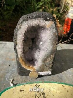 Polished Amethyst Cluster Quartz Geode from Brazil (3 Lb 14 Oz)