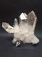 Quartz Crystal Cluster Mount Ida, Arkansas Museum Quality, 8x6in, Private Collect