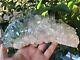Quartz With Chlorite Inclusion Himalayan Crystal Cluster 220x115mm (1.3kg)