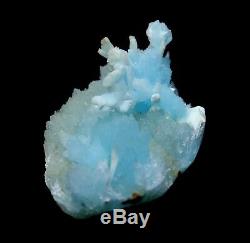 Rare! Natural Beauty Blue Aragonite Crystal Cluster Mineral Specimen/China