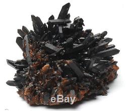 Rare Natural Black QUARTZ Crystal Cluster Mineral Specimen 12.3lb