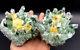 Rare New Natural Green Ghost Quartz Crystal Cluster Vug Specimen # 2845