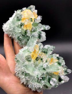 Rare New NATURAL green Ghost Quartz Crystal Cluster Vug Specimen # 2845