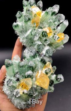 Rare New NATURAL green Ghost Quartz Crystal Cluster Vug Specimen # 2845