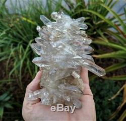 Rare Smokey Quartz Cluster Natural Himalayan Crystal (140x100mm, 525g)