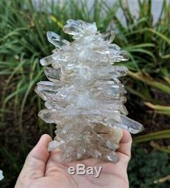 Rare Smokey Quartz Cluster Natural Himalayan Crystal (140x100mm, 525g)