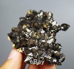 Rare skeletal Elestial BLACK QUARTZ Crystal Cluster Mineral Specimen 72g