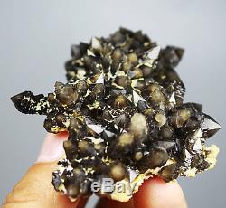 Rare skeletal Elestial BLACK QUARTZ Crystal Cluster Mineral Specimen 72g