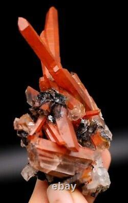 Red Crystal Cluster & Flower Shape Specularite Mineral Specimen/China Y00652