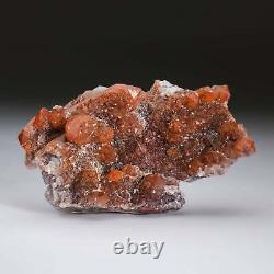 Red Quartz Hematite Crystal Cluster from Morocco (175.7 grams)