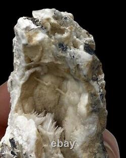 SCOLECITE SPRAY on BLACK STILBITE Rarest! Natural Crystal Mineral Specimen USA