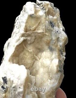 SCOLECITE SPRAY on BLACK STILBITE Rarest! Natural Crystal Mineral Specimen USA