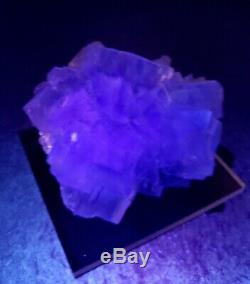 SUPERB-Blue Fluorescent Fluorite crystal cluster on matrix, mine Spain