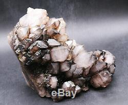 Skeletal Smoky Black Quartz Crystal Cluster Rare Clear Point Specimen Healing