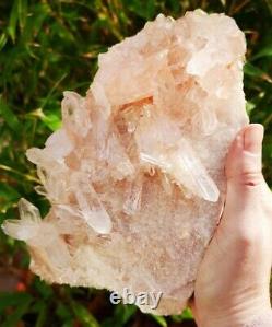 Stunning Large High Grade Himalayan Quartz Cluster Specimen. Healing Crystal