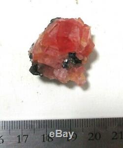 Sweet Home Rhodochrosite crystal cluster Millennium Pocket Colorado