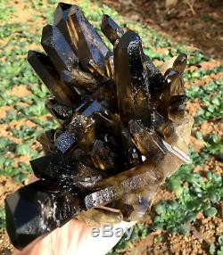 TOP! Natural smoky black quartz cluster crystal specimen healing yellow Quartz