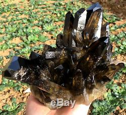 TOP! Natural smoky black quartz cluster crystal specimen healing yellow Quartz