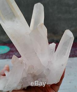 Top! 1700g New Find Natural Clear White Quartz Crystal Cluster Flower Specimen