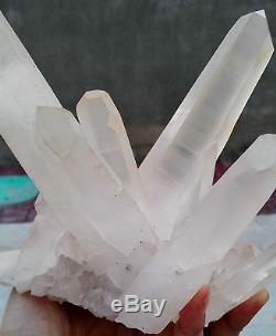 Top! 1700g New Find Natural Clear White Quartz Crystal Cluster Flower Specimen