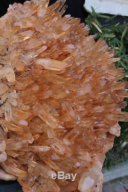 Top! 57.5 LB Clear Natural QUARTZ Crystal Cluster Original Specimen & Madagascar