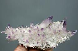 Top! Natural Transparent Amethyst Quartz Crystal Cluster Mineral Specimen, Mexico