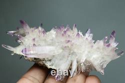 Top! Natural Transparent Amethyst Quartz Crystal Cluster Mineral Specimen, Mexico