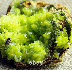 Unique Formation Yellow Green Pyromorphite Crystal Cluster pymm026