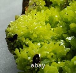 Unique Formation Yellow Green Pyromorphite Crystal Cluster pymm026