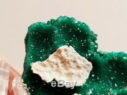 Unusual Emerald Green Dioptase Cups Crystal Cluster with Mimetite #1