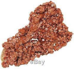 Vanadinite Mineral Specimen 243 gram Crystal Cluster 5 x 3 x 1/4 VAN043