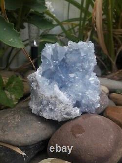 Very High Quality Celestite Quartz Cluster Clear Powder Blue Crystals! 2 lb