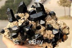 W1630g NATURAL Black Quartz Crystal Cluster POINT feldspar intergrowth Specimen