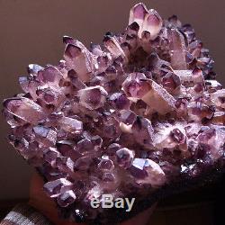 WOW! 2035g GEM Natural Amethyst Citrine Quartz Crystal Cluster