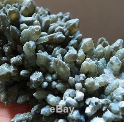 WOW! GEM Natural Green PRASE Quartz Cluster Crystal Point- VERY RARE