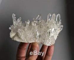 Water Clear Himalayan Quartz Cluster Natural Crystal (AAA Grade) 140x70mm