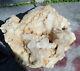 Xl Quartz Crystal Cluster Old Stock Arkansas 26.12lbs 15 Wide Awesome