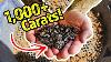 1 000 Carats De Pétrole Noir Trouvés En Fossicking En Australie