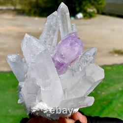 1.11LB Nouveau Mineral de groupe de cristaux de quartz blanc et violet découvert