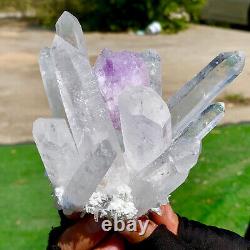 1.11LB Nouveau Mineral de groupe de cristaux de quartz blanc et violet découvert