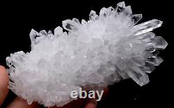 1.12lb Chrysanthème Blanc Quartz Crystal Cluster Mineral Specimen Healing