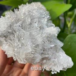 1,16LB Belle grappe de cristal de quartz naturel clair spécimen de guérison Reiki