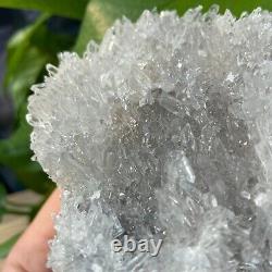 1,16LB Belle grappe de cristal de quartz naturel clair spécimen de guérison Reiki
