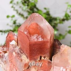 1.1lb Rares Espèces Minérales Rares De Quartz Cristal Pyramide Rouge Ghost Naturel