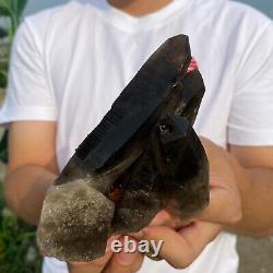 1,2 lb Grand groupe de cristaux de quartz fumé noir naturel brut spécimen minéral