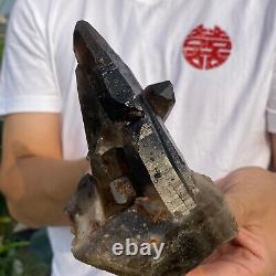 1,2 lb Grand groupe de cristaux de quartz fumé noir naturel brut spécimen minéral