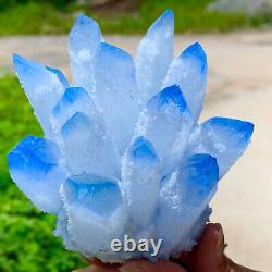 1,25LB Nouvelle trouvaille, agrégat de cristaux de quartz bleu Phantom, spécimen minéral de guérison.