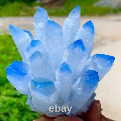 1,25LB Nouvelle trouvaille, agrégat de cristaux de quartz bleu Phantom, spécimen minéral de guérison.