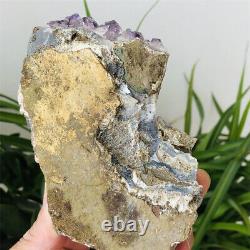 1.2lb Améthyste Naturel Quartz Cristal Cluster Druse Raw Mineral Specimen Healing
